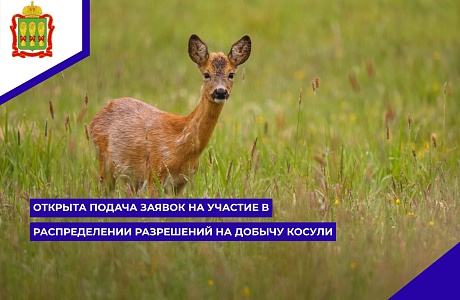 Открыта подача заявок на участие в распределении разрешений на добычу косули через Региональный портал государственных и муниципальных услуг